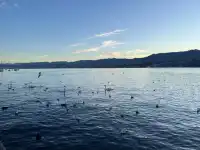 蘇黎世中轉4小時極限打卡路線