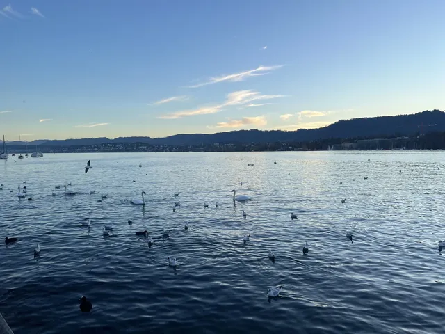 蘇黎世中轉4小時極限打卡路線 蘇黎世中轉4小時極限打卡路線