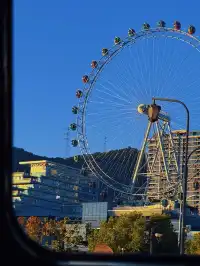 落葉倒數計時!千島湖落日金葉,衝就對了!