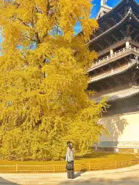 12月！預計會有10萬人來這裡…