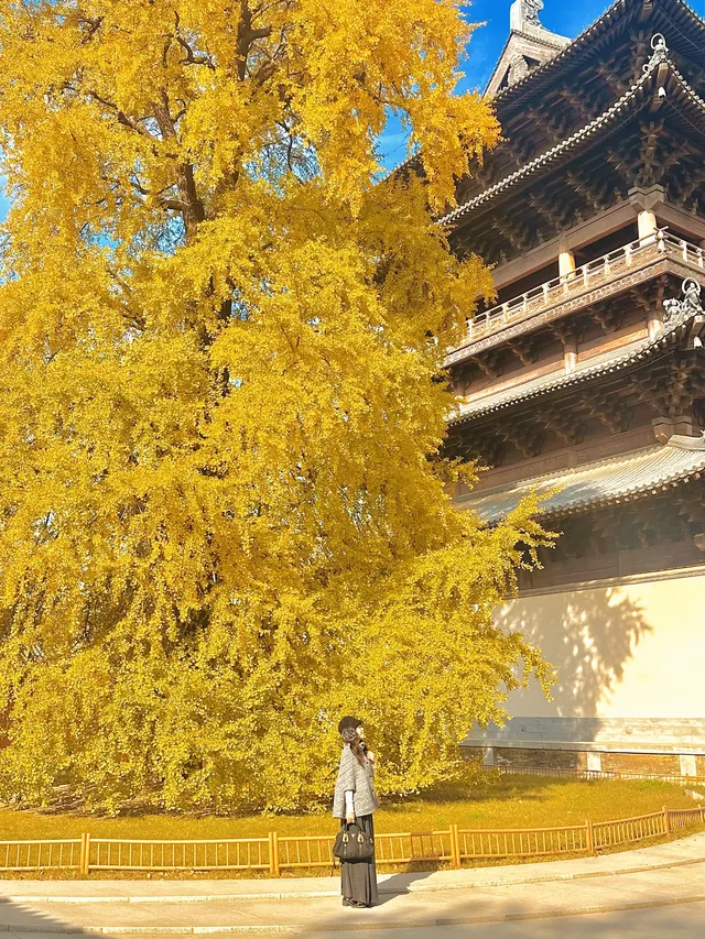 12月！預計會有10萬人來這裡…