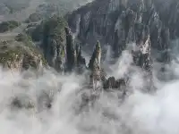 蕪湖黃山四日遊