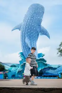 拍半小時!加修了幾百!原因太好看