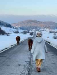 準備好來仙女山玩雪了嘛