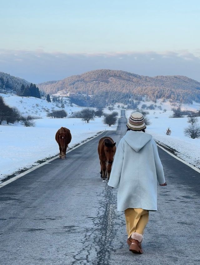 準備好來仙女山玩雪了嘛 準備好來仙女山玩雪了嘛