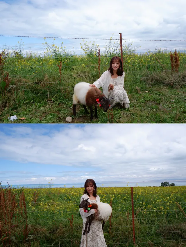 寧夏青海線Day3|闖入青海湖的藍眼淚 寧夏青海線Day3|闖入青海湖的藍眼淚