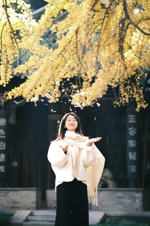 不要錯過揚州看銀杏的時節 不要錯過揚州看銀杏的時節