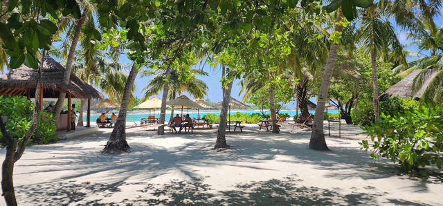 滿月島酒店|撿到寶藏般的快樂度假 : 馬爾代夫滿月島度假村 Furanafushi 滿月島酒店|撿到寶藏般的快樂度假 : 馬爾代夫滿月島度假村 Furanafushi