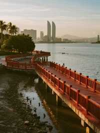 深圳福田紅樹林冬季親子遊 免費遛娃天花板！