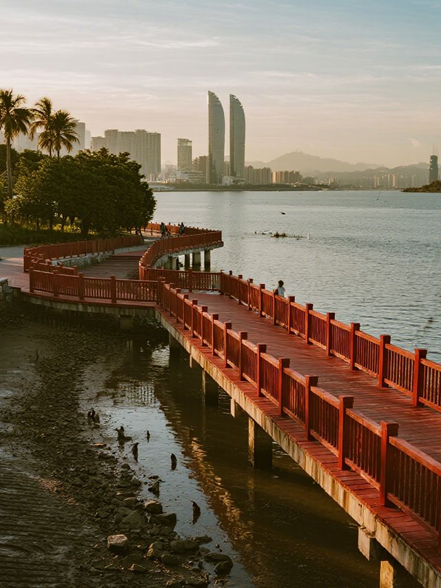 深圳福田紅樹林冬季親子遊 免費遛娃天花板！