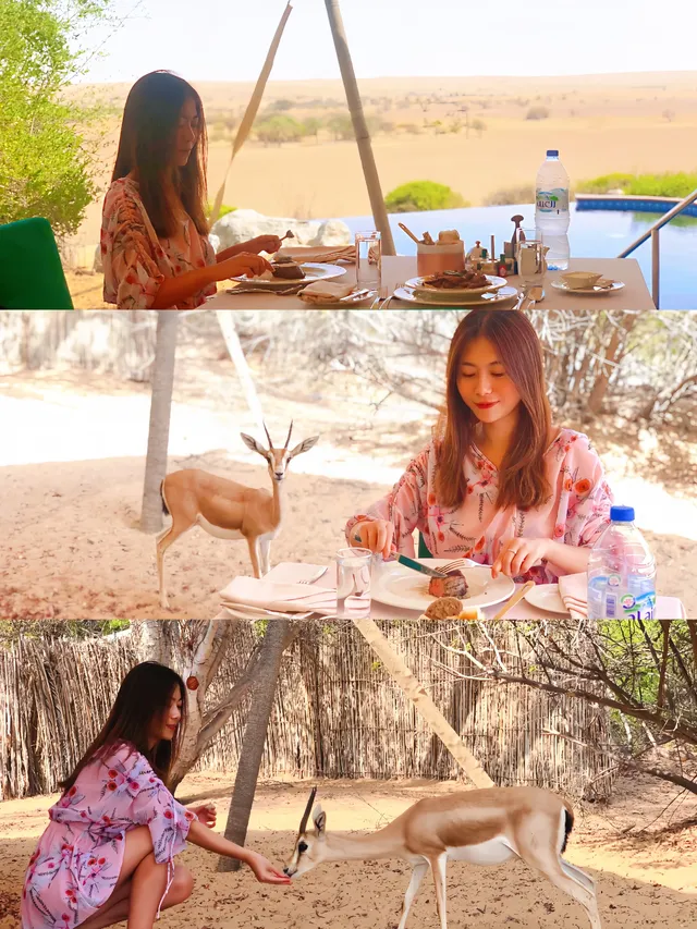 第一次去迪拜，請直接複製這條攻略！