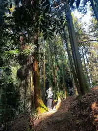 成都霧霾天的救命徒步!蒲虹路6公里,拿捏!