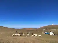 11.30郴州仰天湖大草原的草已黃,但也出片