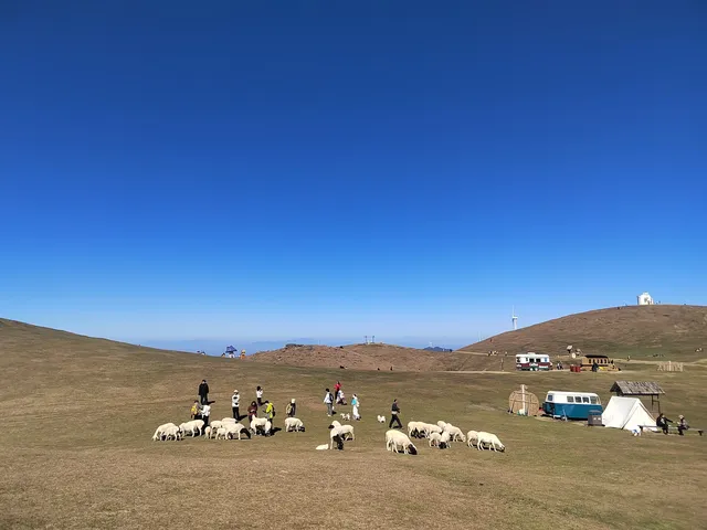 11.30郴州仰天湖大草原的草已黃,但也出片 11.30郴州仰天湖大草原的草已黃,但也出片