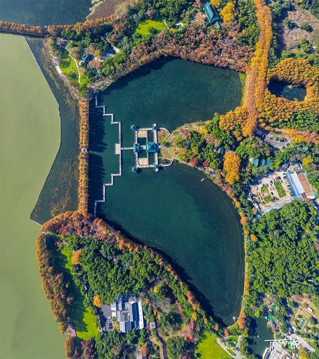 快衝!聽濤的彩林已經美到詞窮! 快衝!聽濤的彩林已經美到詞窮!