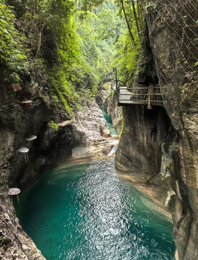 秋日挑戰金刀峽:徒步攻略與獎牌收穫記 秋日挑戰金刀峽:徒步攻略與獎牌收穫記