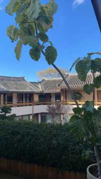 冬日麗江的陽光有多治癒