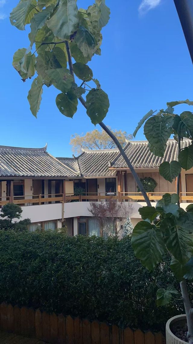 冬日麗江的陽光有多治癒 冬日麗江的陽光有多治癒