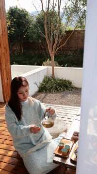 為了這棵1000年銀杏 我特意去了趟永嘉