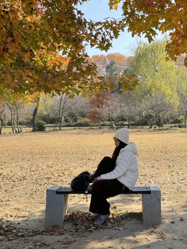鐘山風景區精華指南含無人版梧桐大道 鐘山風景區精華指南含無人版梧桐大道