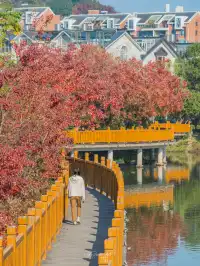 不用去皖南!溫嶺市區藏了個「秋日童話」