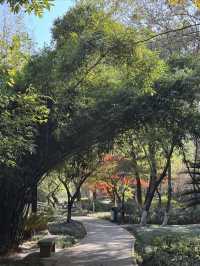 一座公園愛上一座城|我見到駱賓王詩裡的鵝