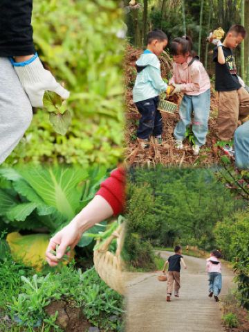 ปีนเขาชิงเฉิง: สนุกสนานในฤดูใบไม้ผลิบนยอดเขาชิงเฉิง – ฉันจะไปก่อน!