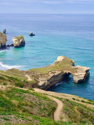 ✨อัญมณีที่ซ่อนเร้นของนิวซีแลนด์! คู่มือฉบับสมบูรณ์สำหรับหาด Tunnel Beach✨