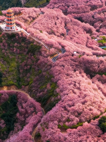 雲に少しだけピンクを借りて、山全体を染めた | Trip.com 清流