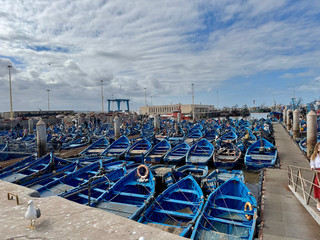 Exceptional Guide Made Morocco Tour Unforgettable