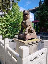 保定美景“蓮漪夏艷”:古蓮花池