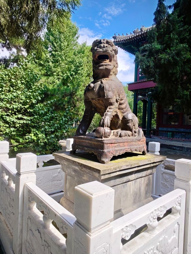 保定美景“蓮漪夏艷”:古蓮花池