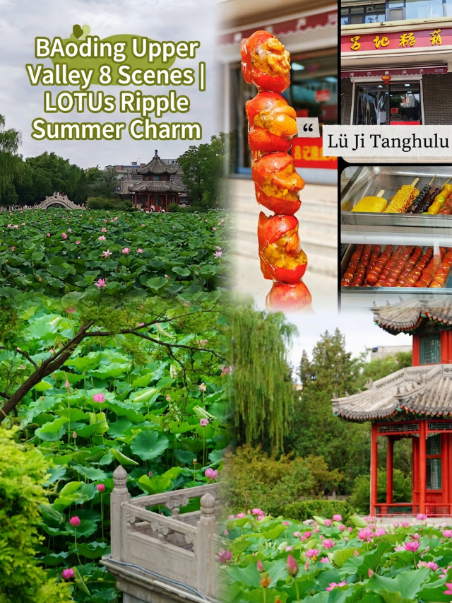 古城赴夏|攬燕趙風華,赴保定人間煙火