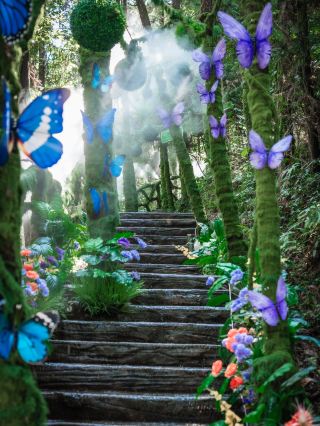 Summer escape from the heat in Jiangsu, Zhejiang, and Shanghai | Songyang Shuangtong Mountain hides a real green forest
