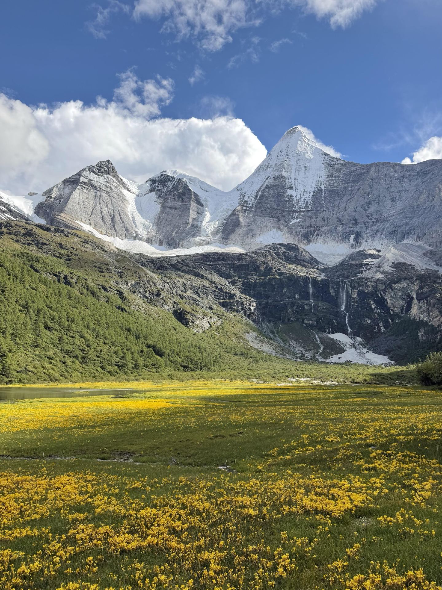 Daocheng Yading is known as the last pure land on the blue planet. You can only truly understand this title after experiencing it yourself.