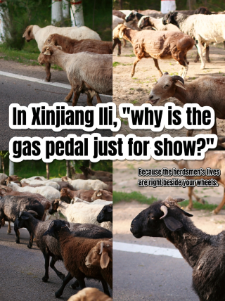 The ultimate guide to self-driving in Yili, Xinjiang! Please be sure to pay attention