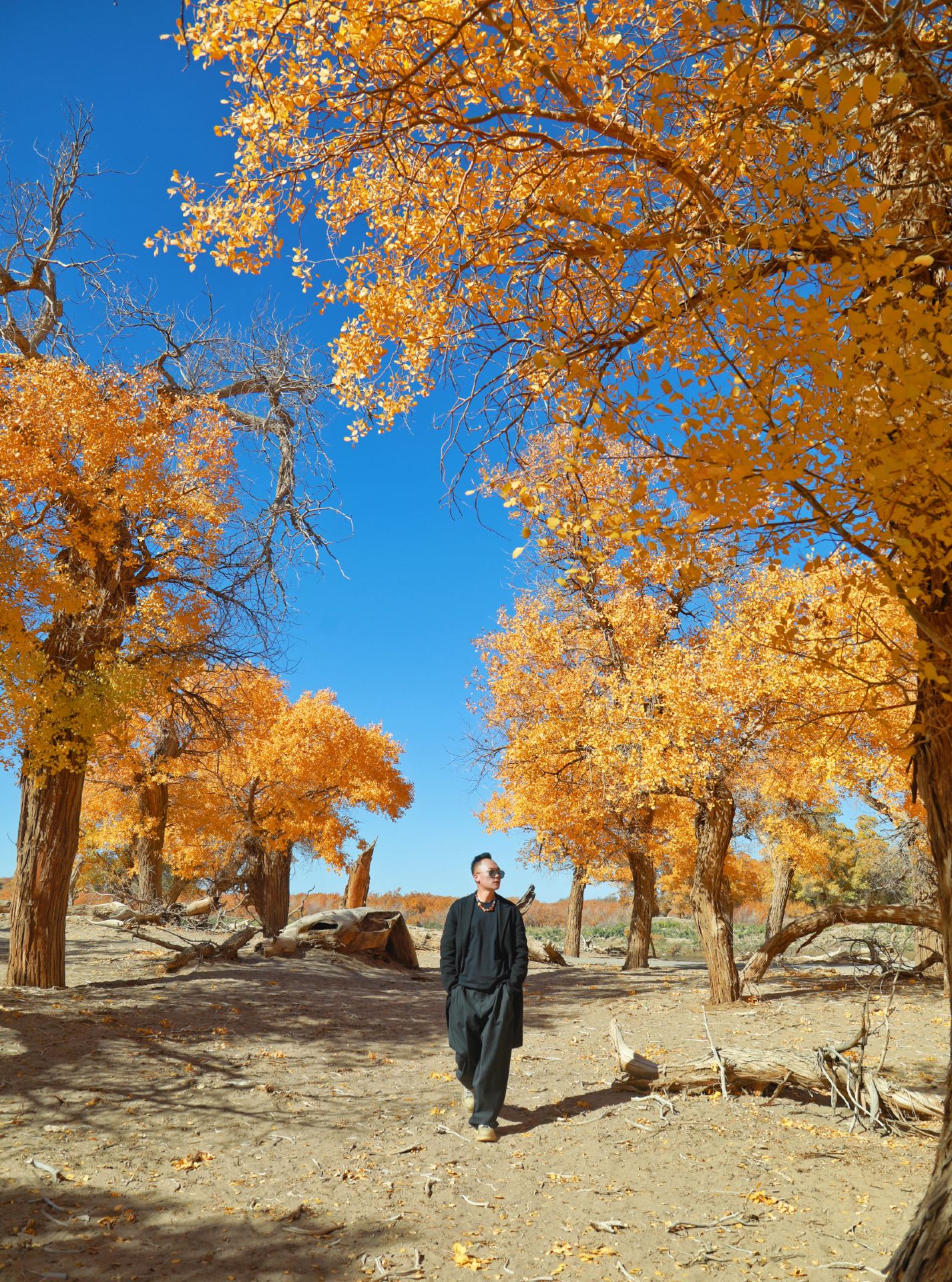 If autumn had a ceiling, it would definitely be Ejina Banner