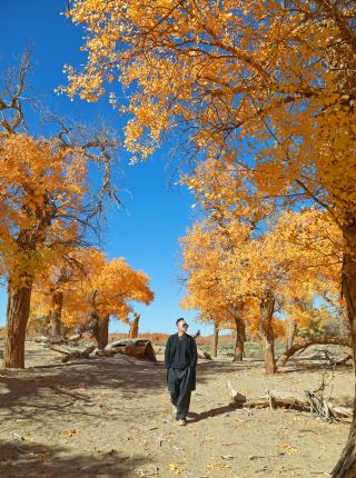 If autumn had a ceiling, it would definitely be Ejina Banner