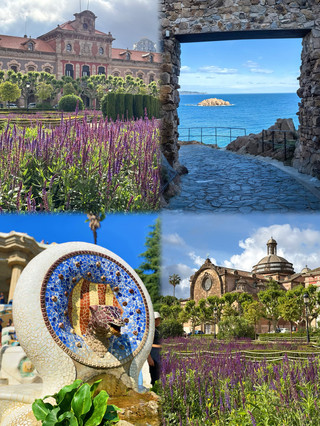 A budget-friendly Europe trip to broaden kids' horizons — unbeatable value!