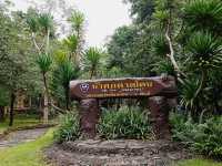 น้ำตกตาดโตน ชัยภูมิ