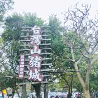 媲美動物園的台灣山豬城