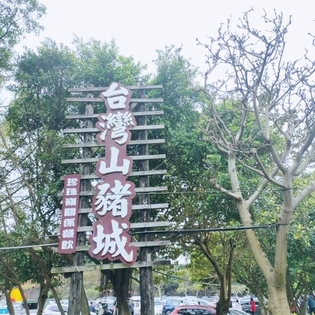 媲美動物園的台灣山豬城