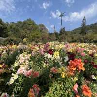 Doi Angkhang(ดอยอ่างขาง) เชียงใหม่