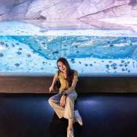 AQUARIA PHUKET 