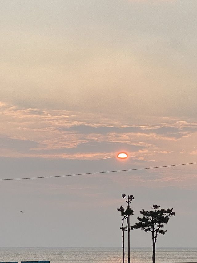 일출맛집 “낙산해변”