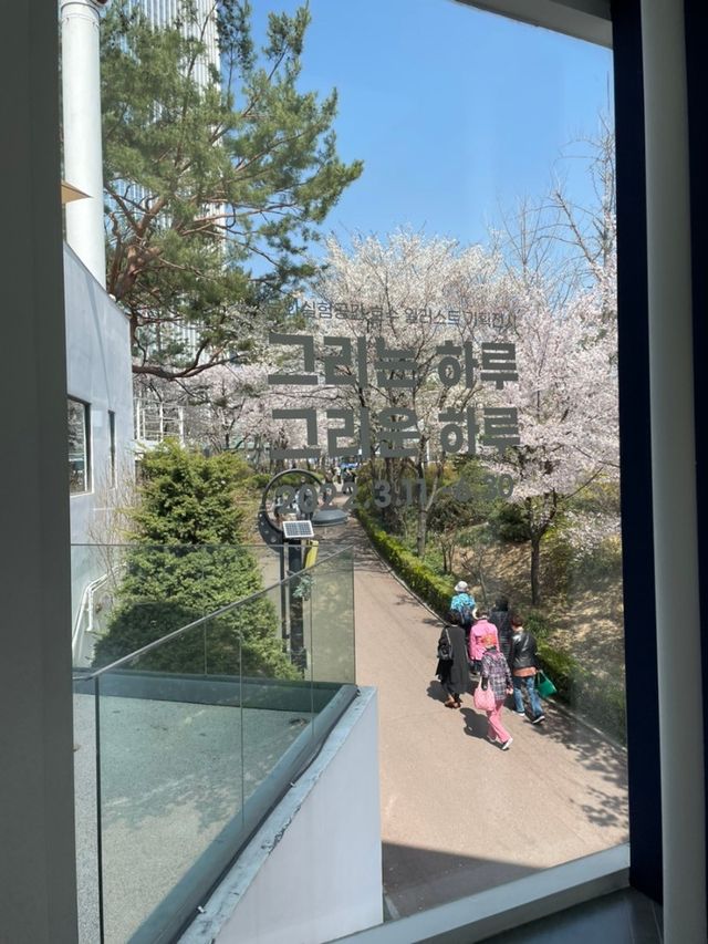 석촌호수 벚꽃 명소🌸포토존📸