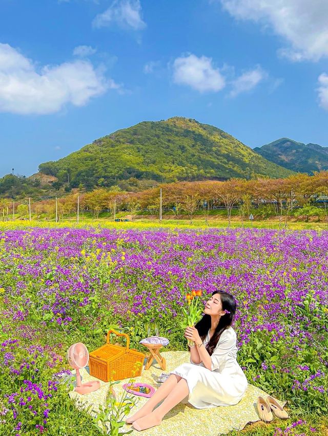 알록달록 꽃들 속에서 즐기는 봄 피크닉💓