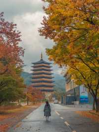 흐려도 아름다운 가을경주 황룡원🍁