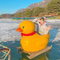 귀요운 오리썰매,, 존잼🐤