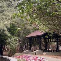 湖西鄉林投村林投公園
